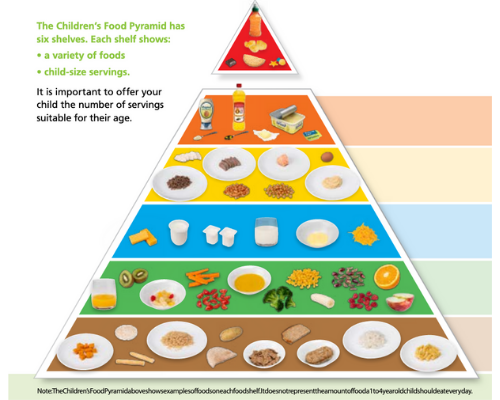 What You Need To Know About The New Healthy-Eating Guidelines For Toddlers pyramid
